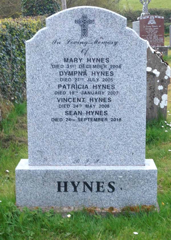 Hynes, Meelick and Dublin